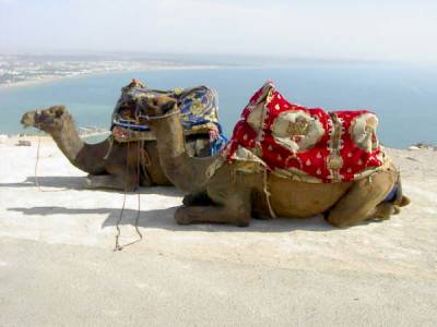 agadir